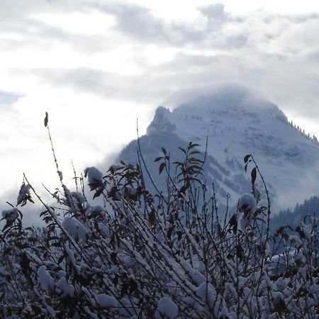 Studio Le Marquis 2 Morzine Exterior photo